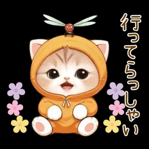 スコティッシュ猫 みかん服