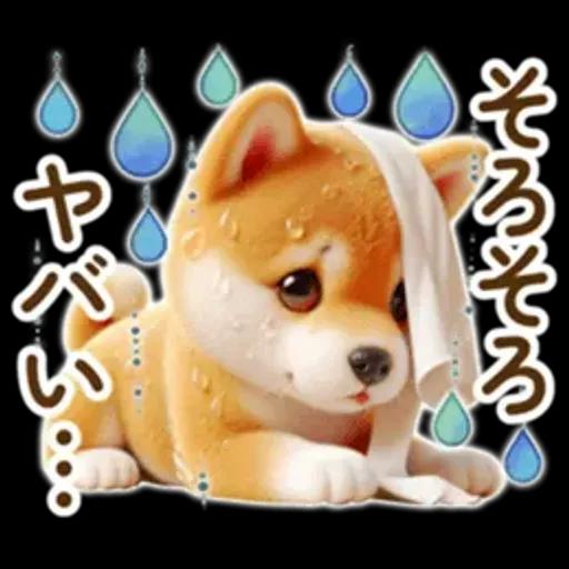 良く使う言葉の夏の柴犬- ̗̀