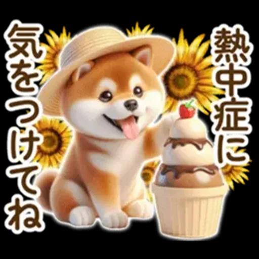 良く使う言葉の夏の柴犬- ̗̀