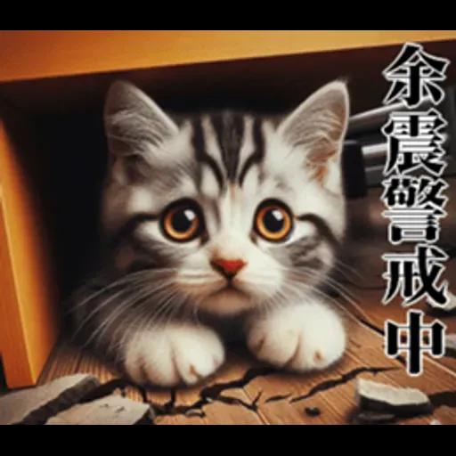 地震の時に使える猫スタンプ