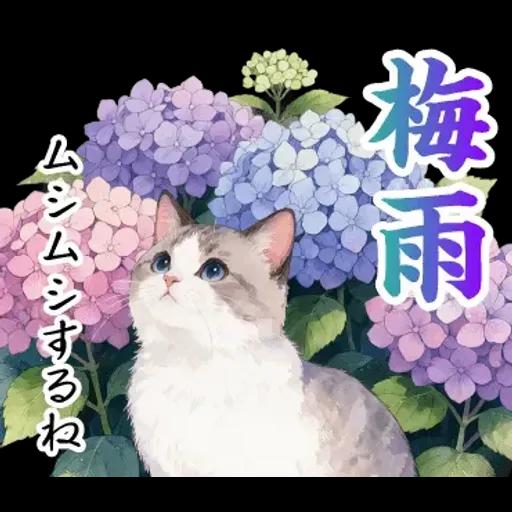 飛び出す【初夏・梅雨】大人の季節あいさつ