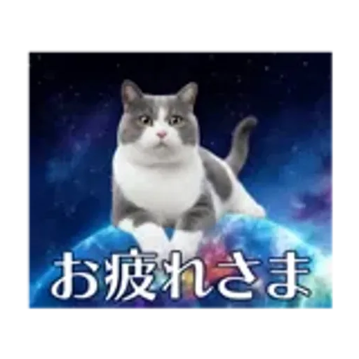 動く！驚く！宇宙猫 -Space Cat-