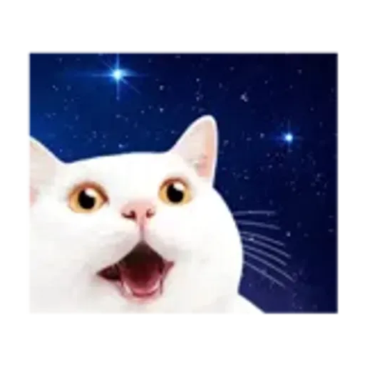 動く！驚く！宇宙猫 -Space Cat-