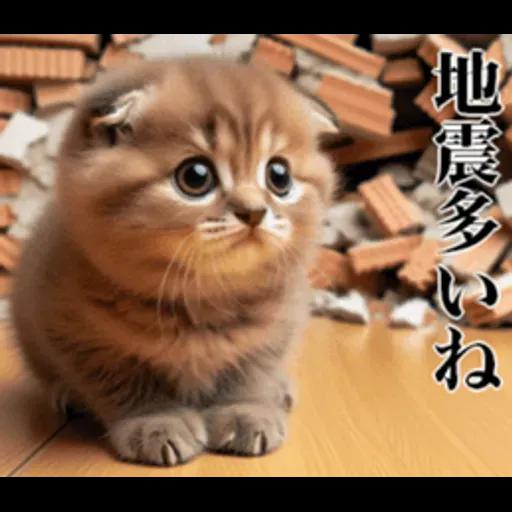 地震の時に使える猫スタンプ