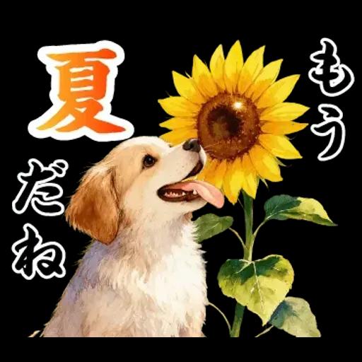 飛び出す【初夏・梅雨】大人の季節あいさつ