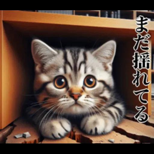 地震の時に使える猫スタンプ
