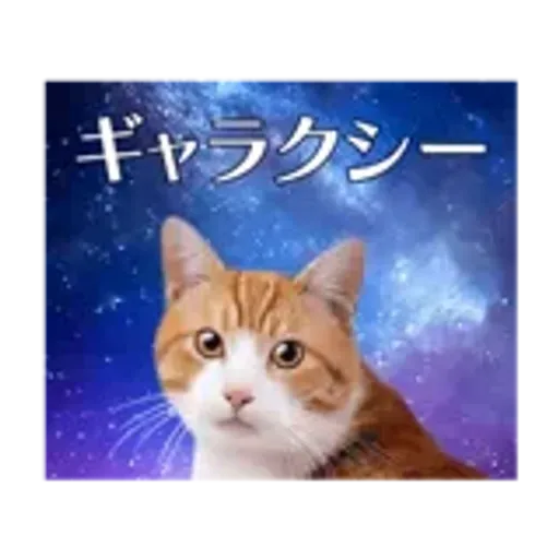動く！驚く！宇宙猫 -Space Cat-