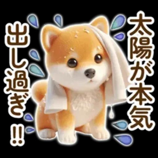 良く使う言葉の夏の柴犬- ̗̀