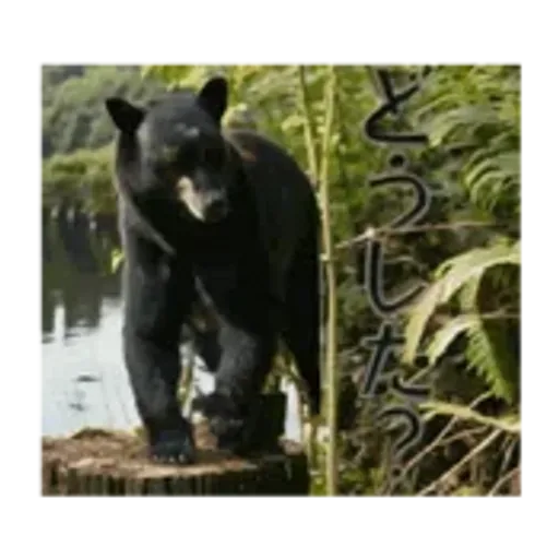 you are the love of my life!