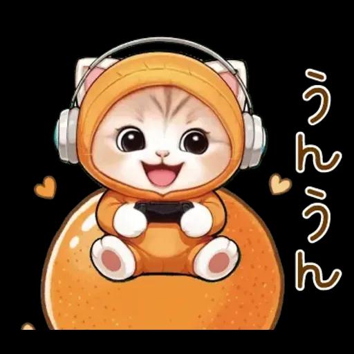 スコティッシュ猫 みかん服