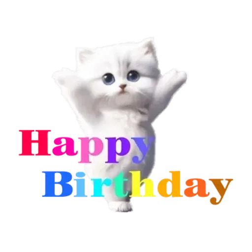 踊る！ペルシャ猫