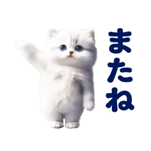 踊る！ペルシャ猫