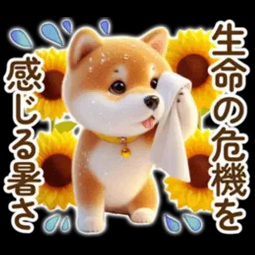 良く使う言葉の夏の柴犬- ̗̀