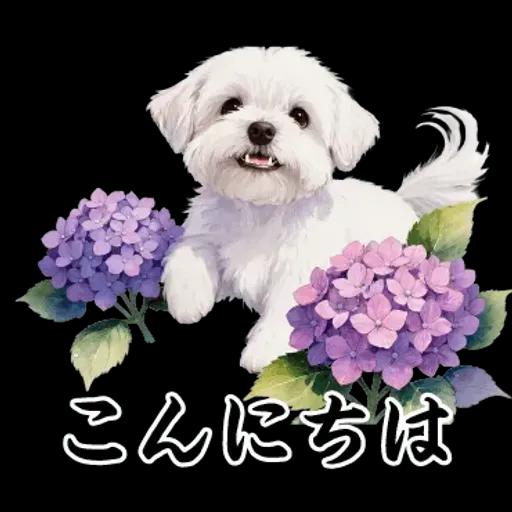 飛び出す【初夏・梅雨】大人の季節あいさつ