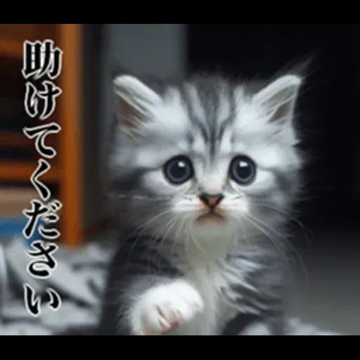 地震の時に使える猫スタンプ