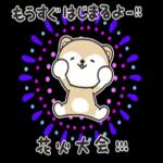 れま
おつかれ
さまです