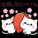 今日はよろしくお願いします