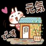 夏・天気✨【白うさぎ＆時々インコ】