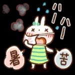 夏・天気✨【白うさぎ＆時々インコ】