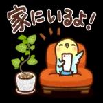 かわいいうさぎちゃん　毎日使う