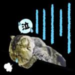 かわいいねこちゃん〜〜