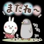 おひとよしウサぴょん⭐️夏の毎日_-