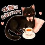 黒猫のつめあわせ♪