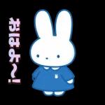 ミッフィーの幸せな暮らし