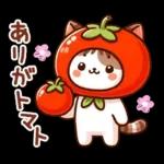 猫のつめあわせ④【ダジャレ】