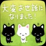 かわいい黒猫ちゃんの一日