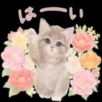 శోభు ఆవ 8 LuLw