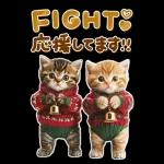 大きく表示♡冬にゃんこ