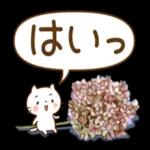 🌼春の息吹パッケージ