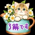 ちっちゃい猫のスタンプ 寧なことば ちっちゃい猫のスタンプ ちっちゃい猫のスタンプ 丁寧なことば 