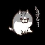 ニャー星人の楽園🤩🤩