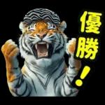 大阪神戸の野球好き虎ファン向け2