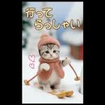 可愛い猫 冬 スキー スノボー 思いやりBIG