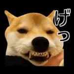 Premium 柴犬こてつ君*スタンプ第二弾