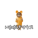 動く！踊るダジャレ猫ミーム！