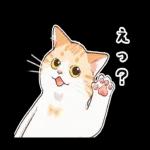よろしく
お願い
します
P