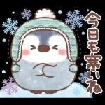 ふんわりペンちゃん年末年始