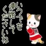 かわいい猫😺が来ますよ！