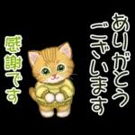 冬のキラキラおめめの子猫ちゃん