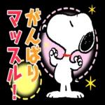 頑張ってください~~