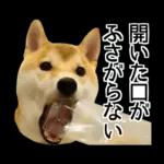 Premium 柴犬こてつ君*スタンプ第二弾