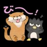 可愛い嘘のカワウソ×サンリオキャラ