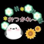 【シマエナガです】花束/夏のひまわり4