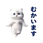 踊る！ペルシャ猫