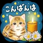 ちっちゃい猫のスタンプ 寧なことば ちっちゃい猫のスタンプ ちっちゃい猫のスタンプ 丁寧なことば 