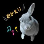 むーちゃんかわいこちゃんのスタンプ